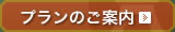 特別プランのご案内